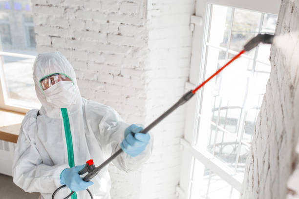 Best Airborne Mold Testing  in Williston Park, NY