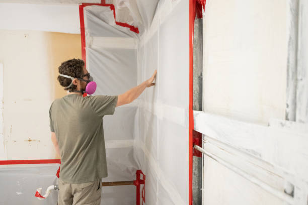 Best Basement Mold Removal  in Williston Park, NY
