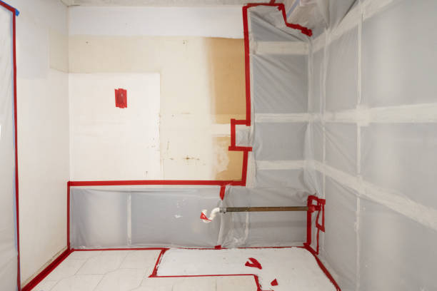 Best Indoor Air Quality Assessment  in Williston Park, NY
