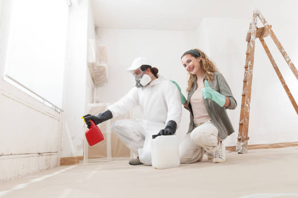 Best Asbestos and Lead Testing During Mold Inspection  in Williston Park, NY